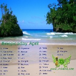 #iriepicaday